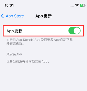 潮安苹果15维修中心如何让iPhone15APP自动更新