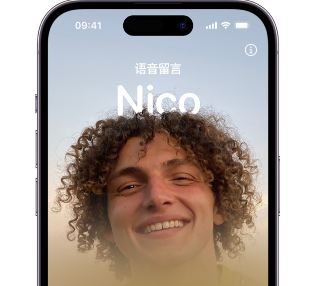 潮安苹果15服务站分享iPhone15实时语音留言开启方法 